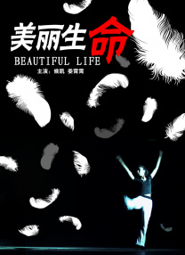 午夜毛片免费看