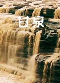 a v免费网站