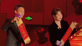 aa级片
