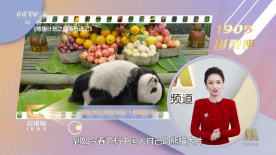 张津瑜吕知樾