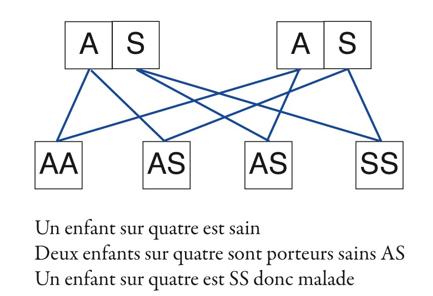 la drépanocytose