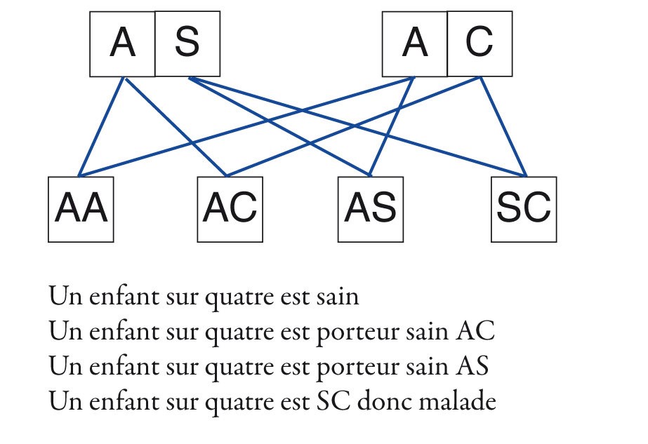 la drépanocytose