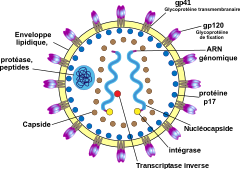 VIH-SIDA