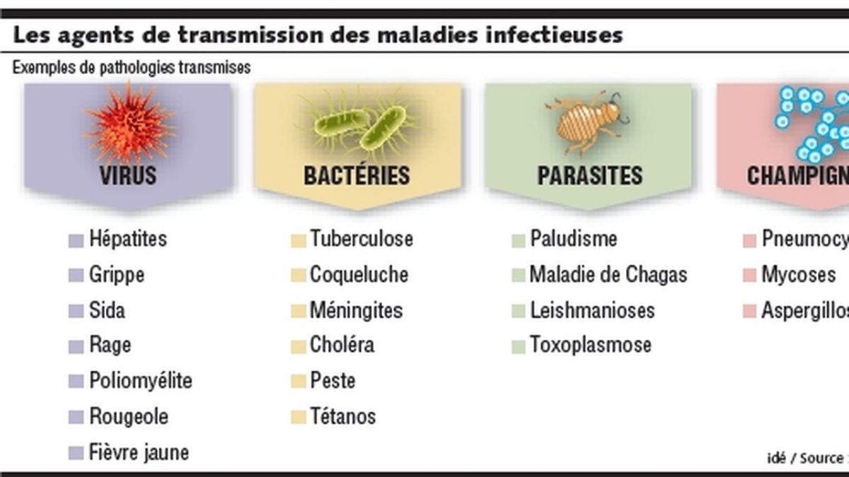 Les maladies infectieuses