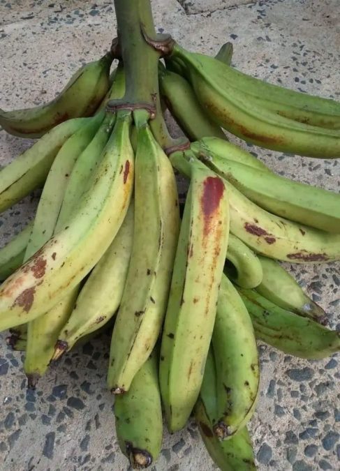 La banane plantain