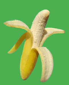 La banane, fruit du bananier 