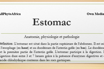 L’Estomac 