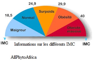 indice de masse corporelle
