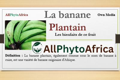 La banane plantain 