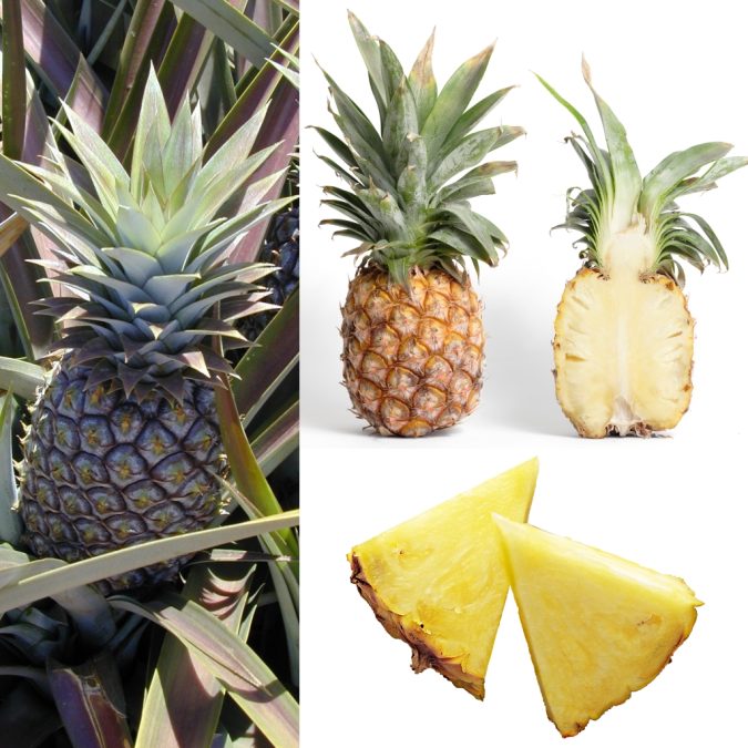 L'ananas detaillé