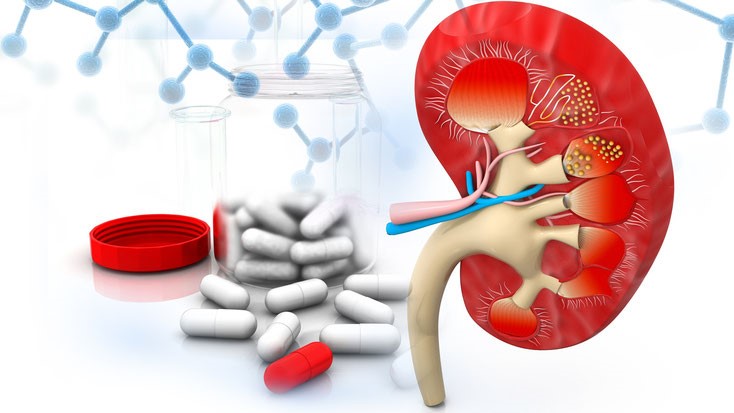 Surcharge du rein avec des médicaments