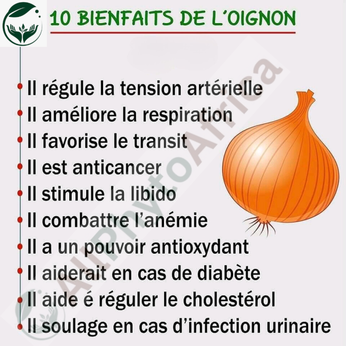 Les 10 bienfaits de l'oignon