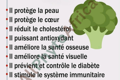 10 bienfaits du brocoli