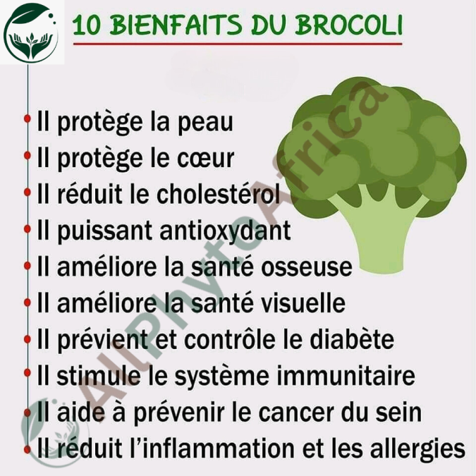 10 bienfaits du brocoli