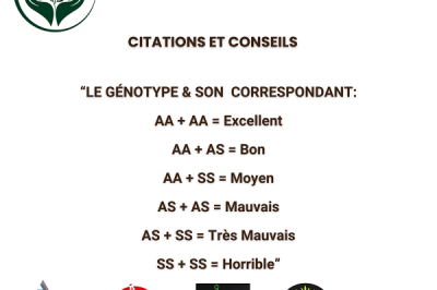 Le génotype & son correspondant