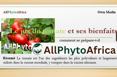 Le jus de tomate et ses bienfaits