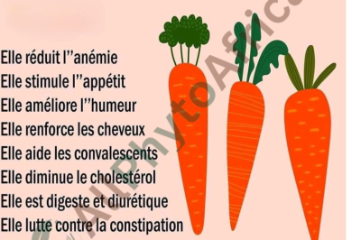 Les 10 bienfaits de la carotte 