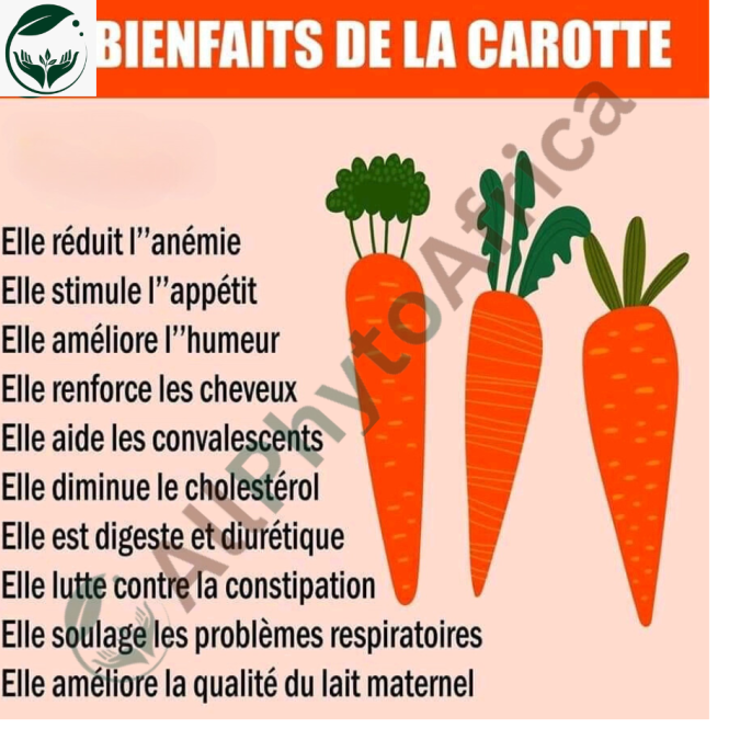 Les 10 bienfaits de la carotte