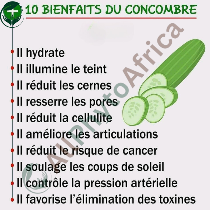 Les 10 bienfaits du concombre