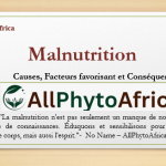 La malnutrition