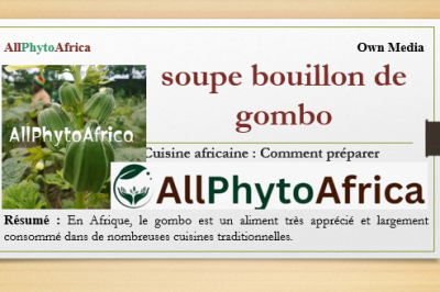 Soupe ou Bouillon de gombo 