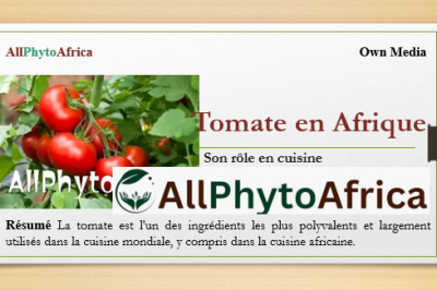 Tomate en Afrique