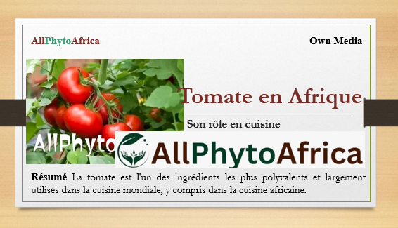 Tomate en Afrique