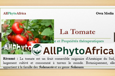 Tomate (S. lycopersicum)