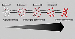 évolution du cancer