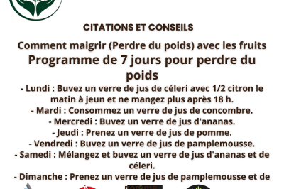 Programme de Perte de Poids – 7 Jours 