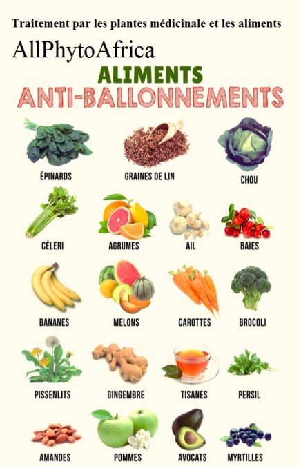 Les aliments contres les Balonnements