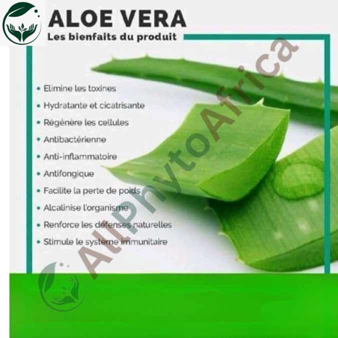 Les 10 bienfaits du produit d’Aloe vera